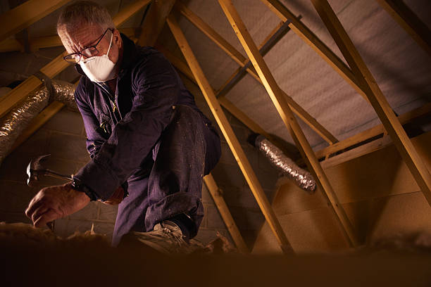 Best Energy Efficiency Solutions in Norfolk, VA